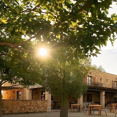 Bed and breakfast Antonias - Adults Only